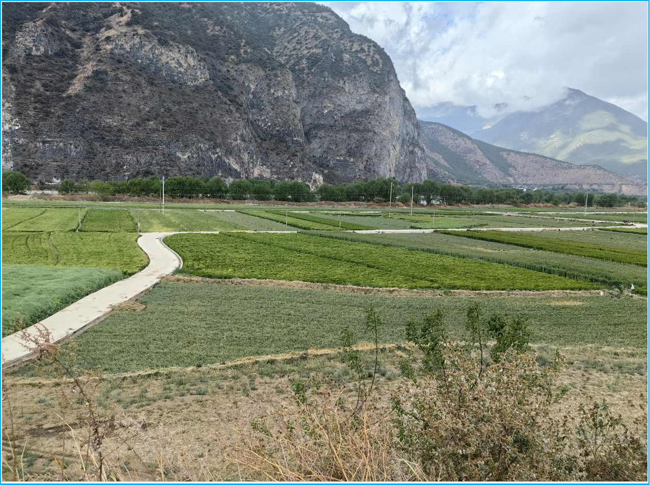 丽江市华坪县2022 年中央预算内高标 准农田建设项目